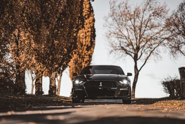 Kasino Lion Wins Android/iOS Aplikácia